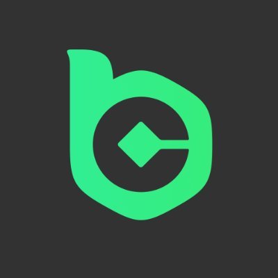bcgame logo