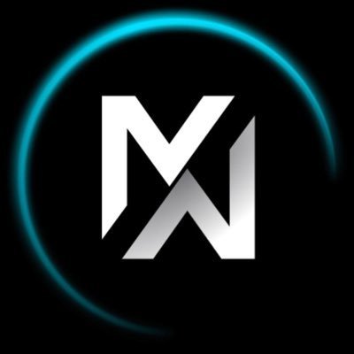 MetaWin.us logo