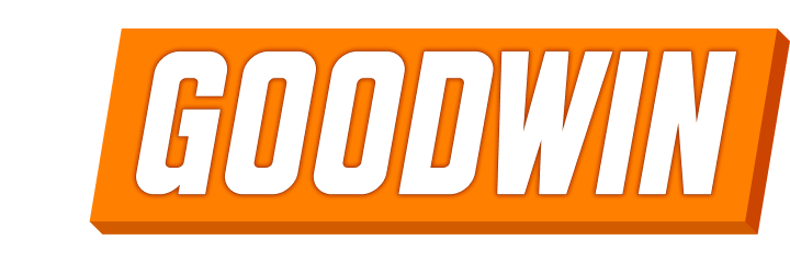 Mr.Goodwin logo